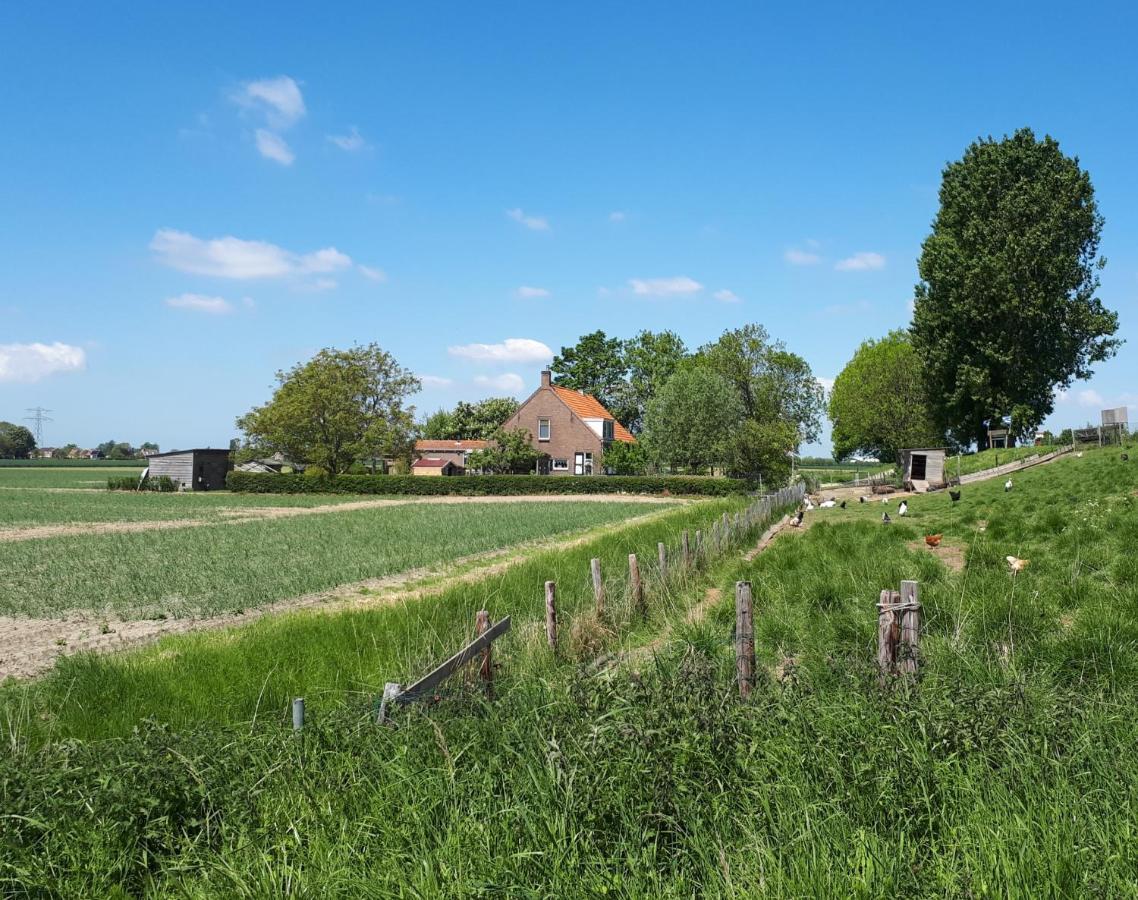 Appartamento “In Oans Oefje” Parel In De Polder! Lewedorp Esterno foto