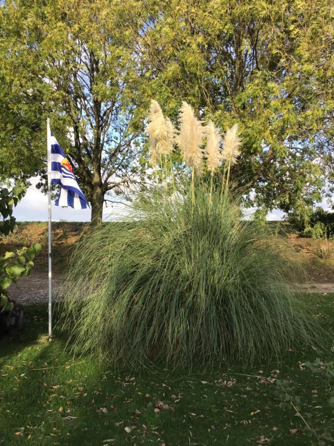 Appartamento “In Oans Oefje” Parel In De Polder! Lewedorp Esterno foto