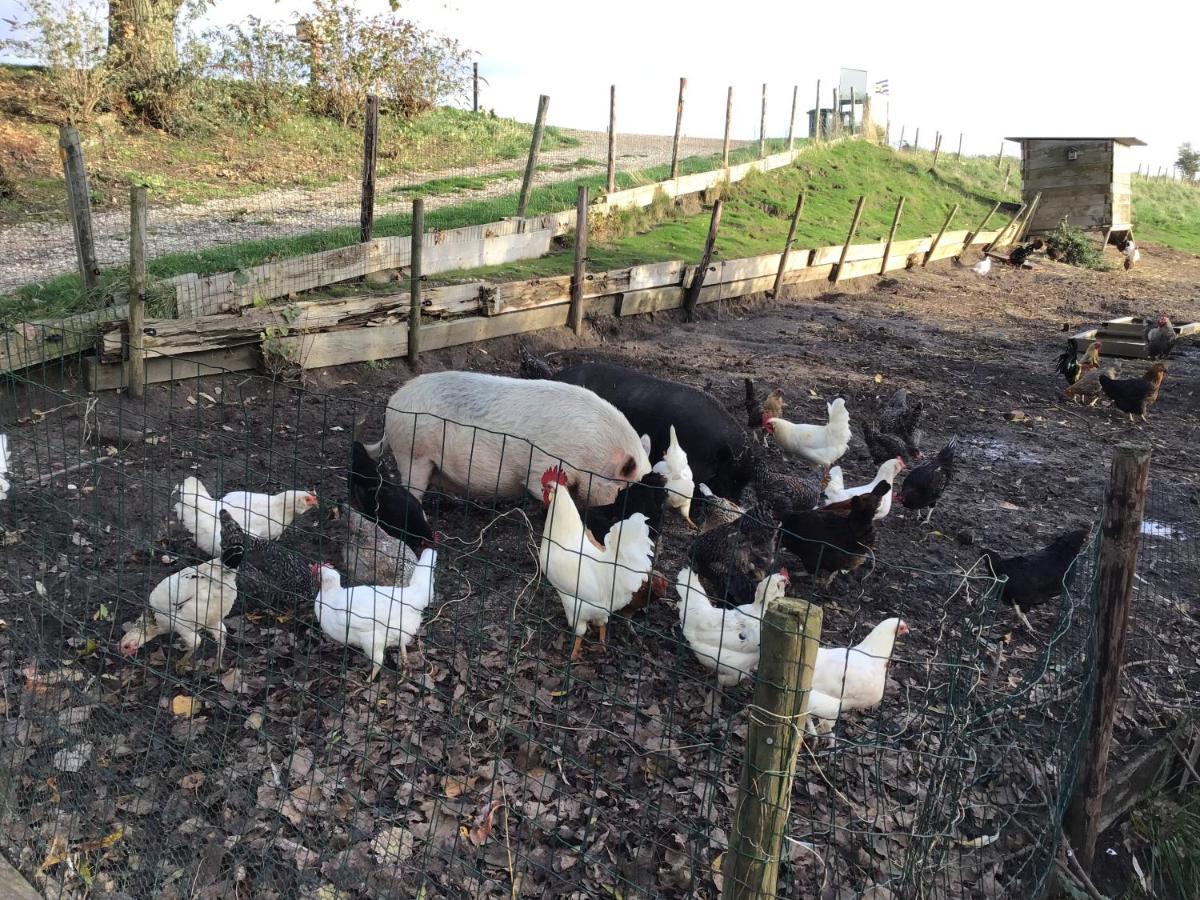 Appartamento “In Oans Oefje” Parel In De Polder! Lewedorp Esterno foto
